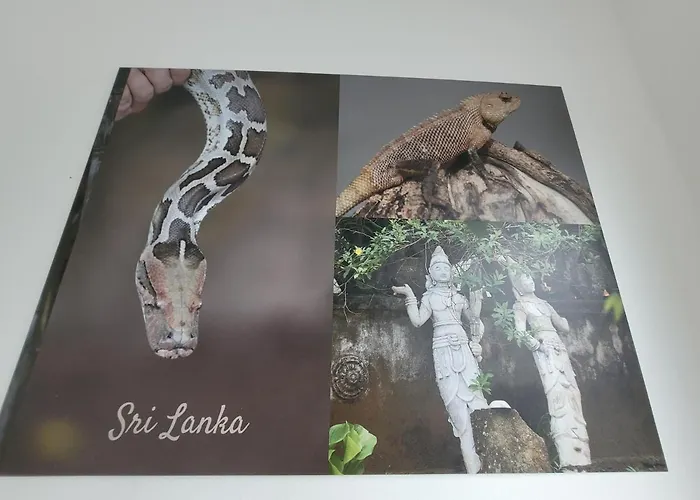 Casa Di * هاينسبرغ